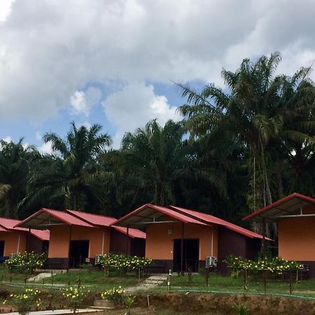 拷索埃弗格林假日公园 Khao Sok National Park 外观 照片