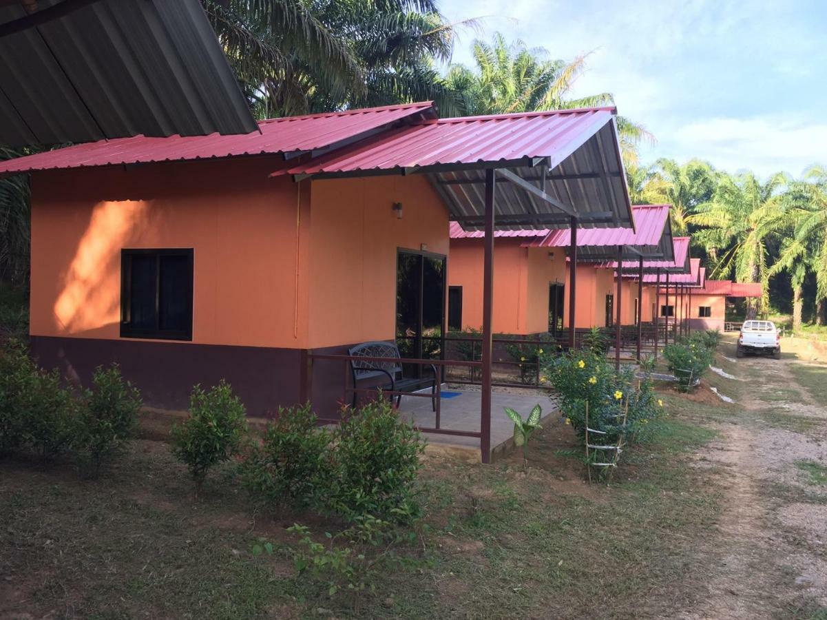 拷索埃弗格林假日公园 Khao Sok National Park 外观 照片