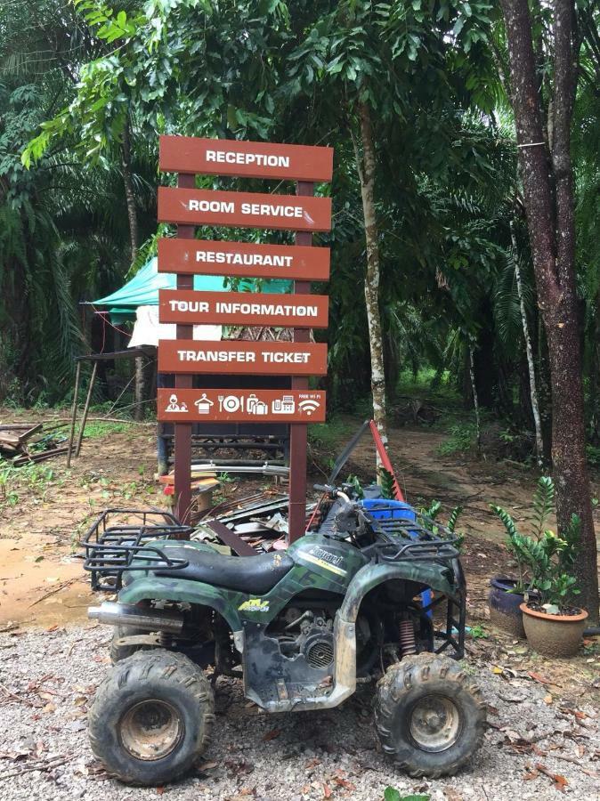 拷索埃弗格林假日公园 Khao Sok National Park 外观 照片