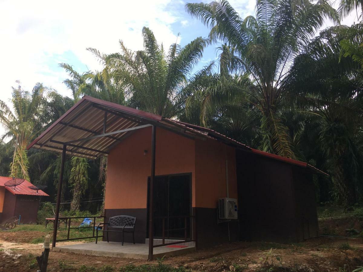 拷索埃弗格林假日公园 Khao Sok National Park 外观 照片