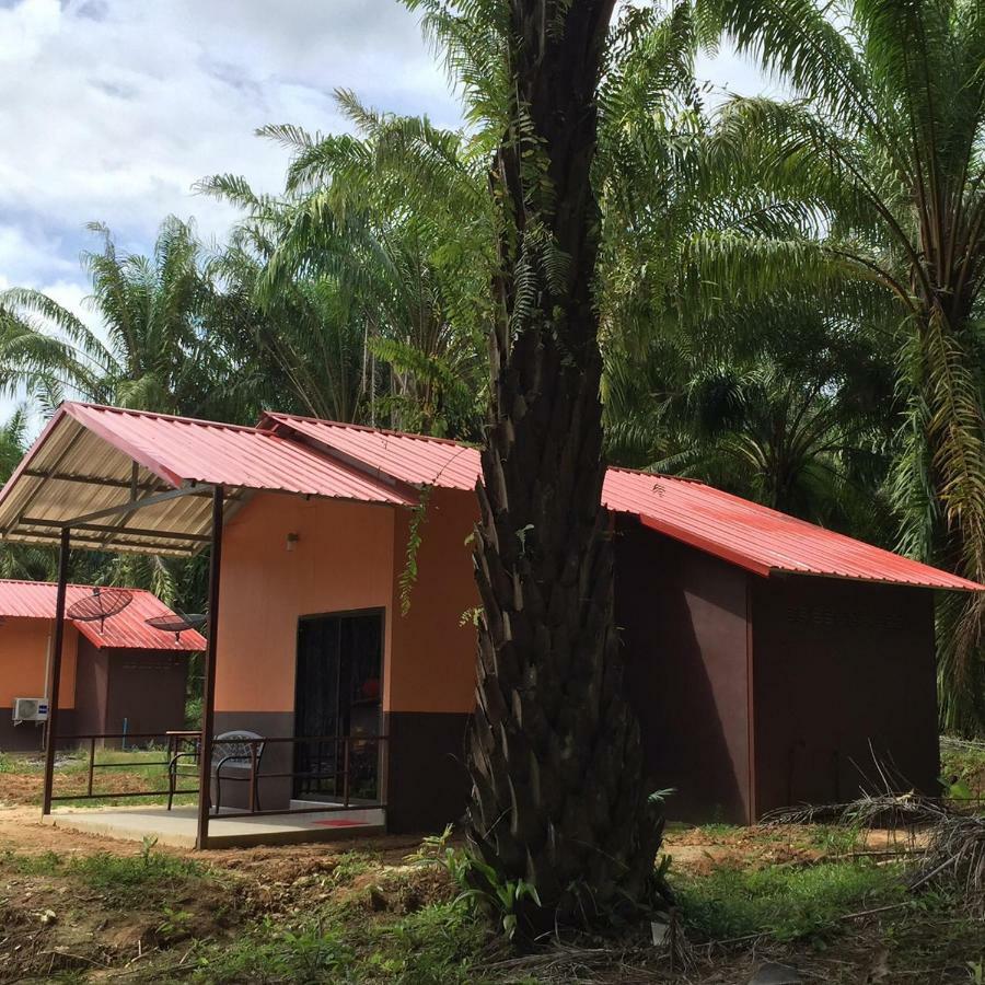 拷索埃弗格林假日公园 Khao Sok National Park 外观 照片