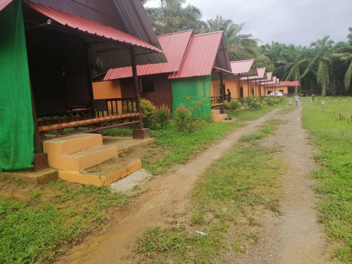 拷索埃弗格林假日公园 Khao Sok National Park 外观 照片