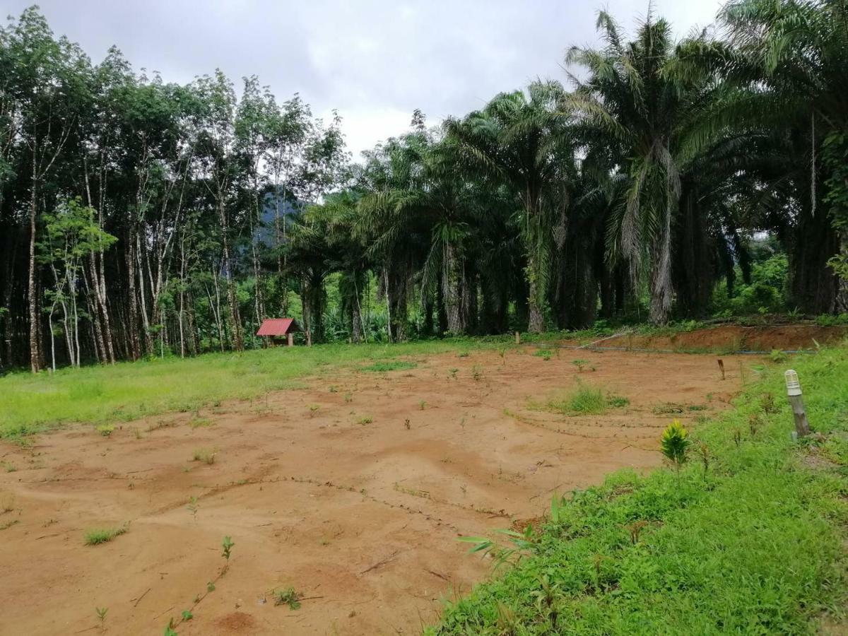 拷索埃弗格林假日公园 Khao Sok National Park 外观 照片