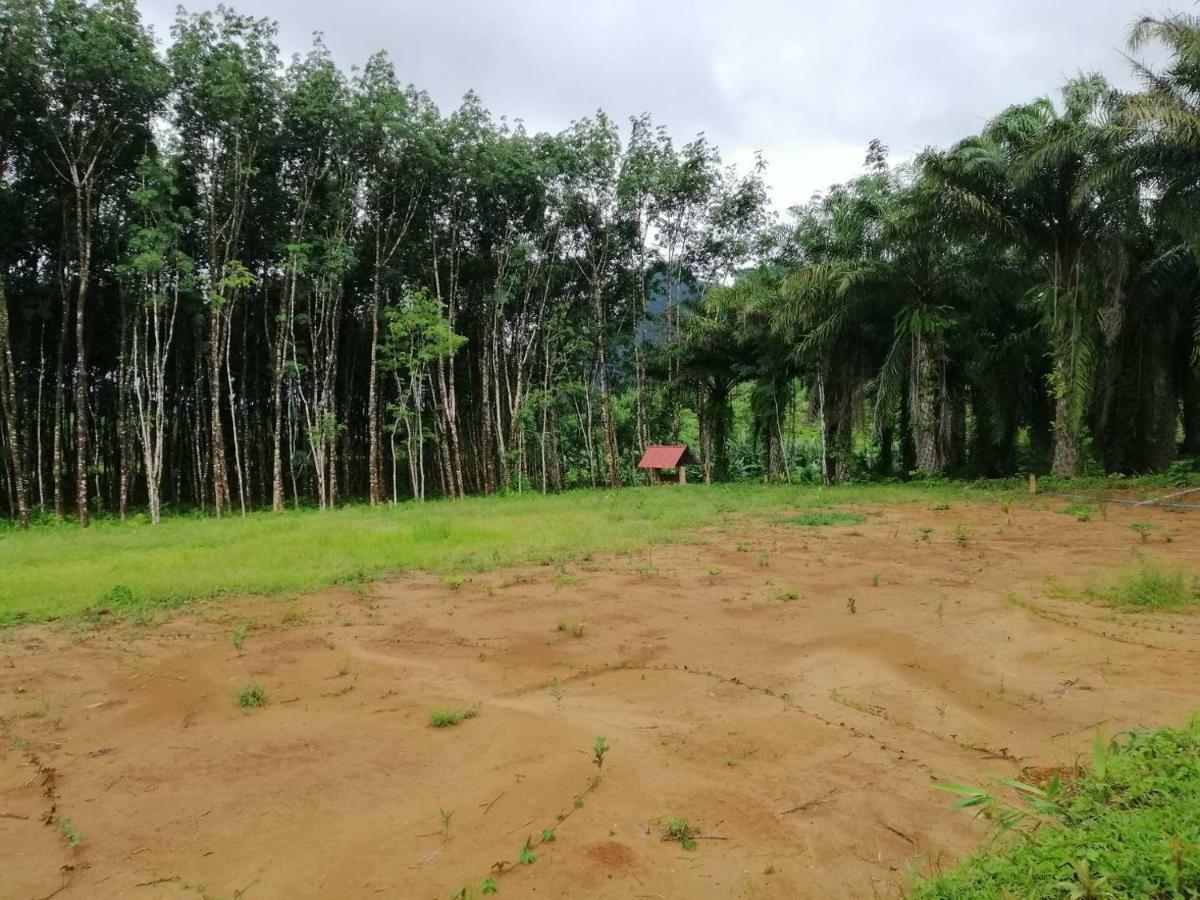 拷索埃弗格林假日公园 Khao Sok National Park 外观 照片
