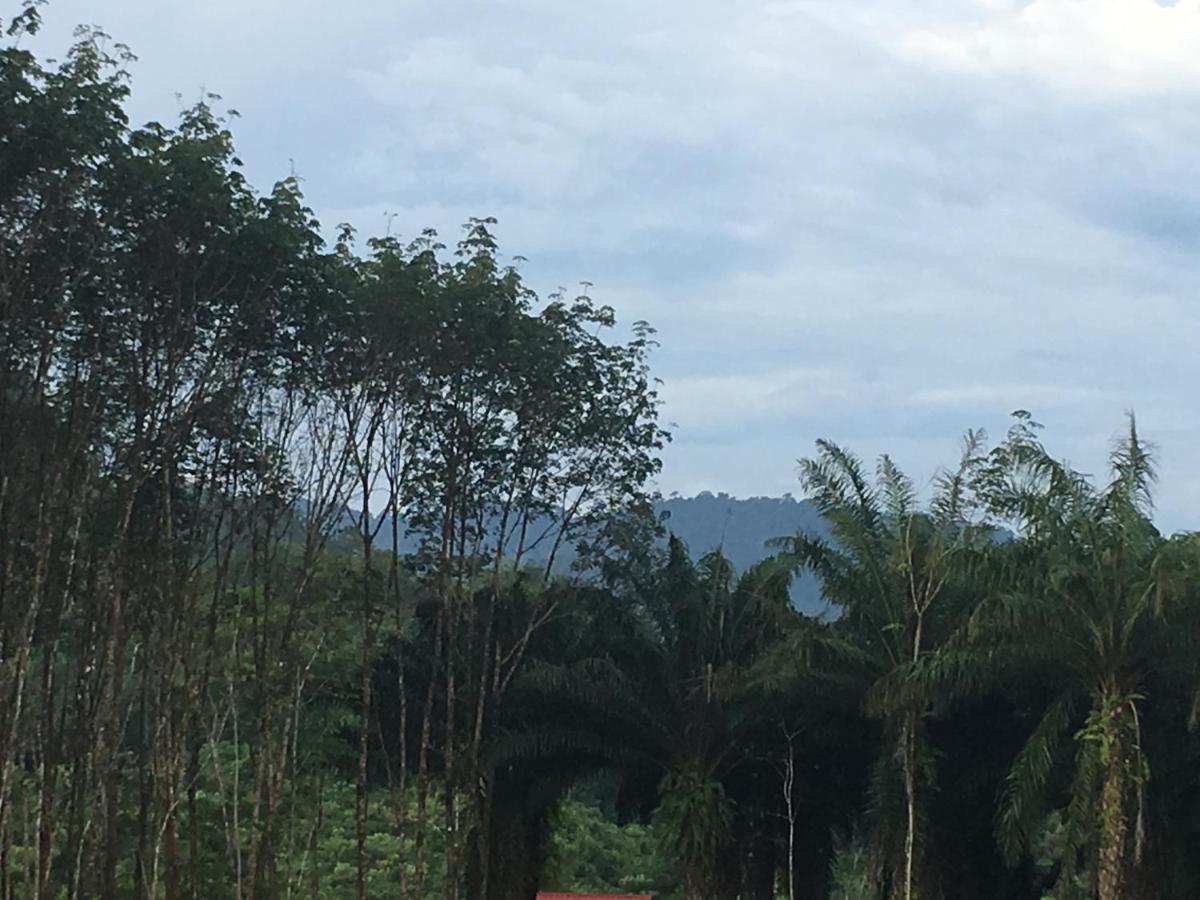 拷索埃弗格林假日公园 Khao Sok National Park 外观 照片