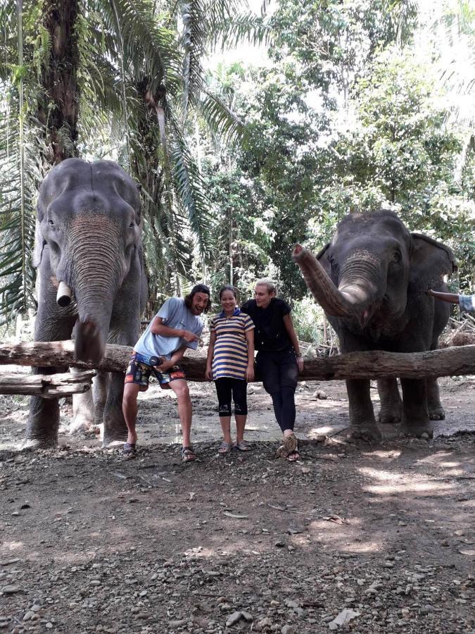 拷索埃弗格林假日公园 Khao Sok National Park 外观 照片