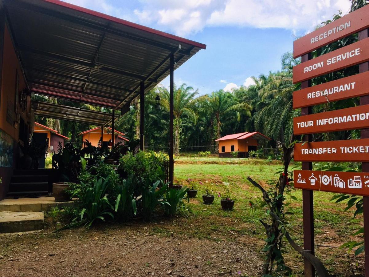 拷索埃弗格林假日公园 Khao Sok National Park 外观 照片