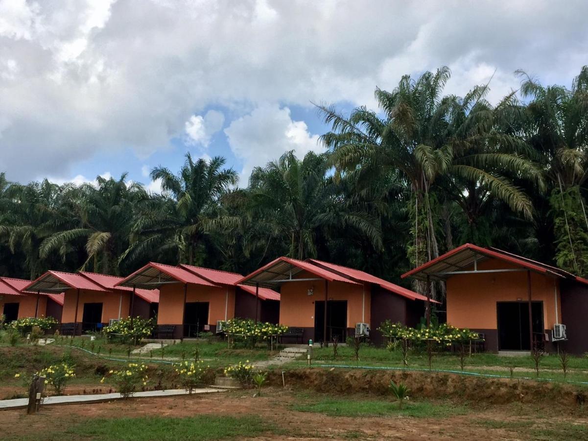 拷索埃弗格林假日公园 Khao Sok National Park 外观 照片