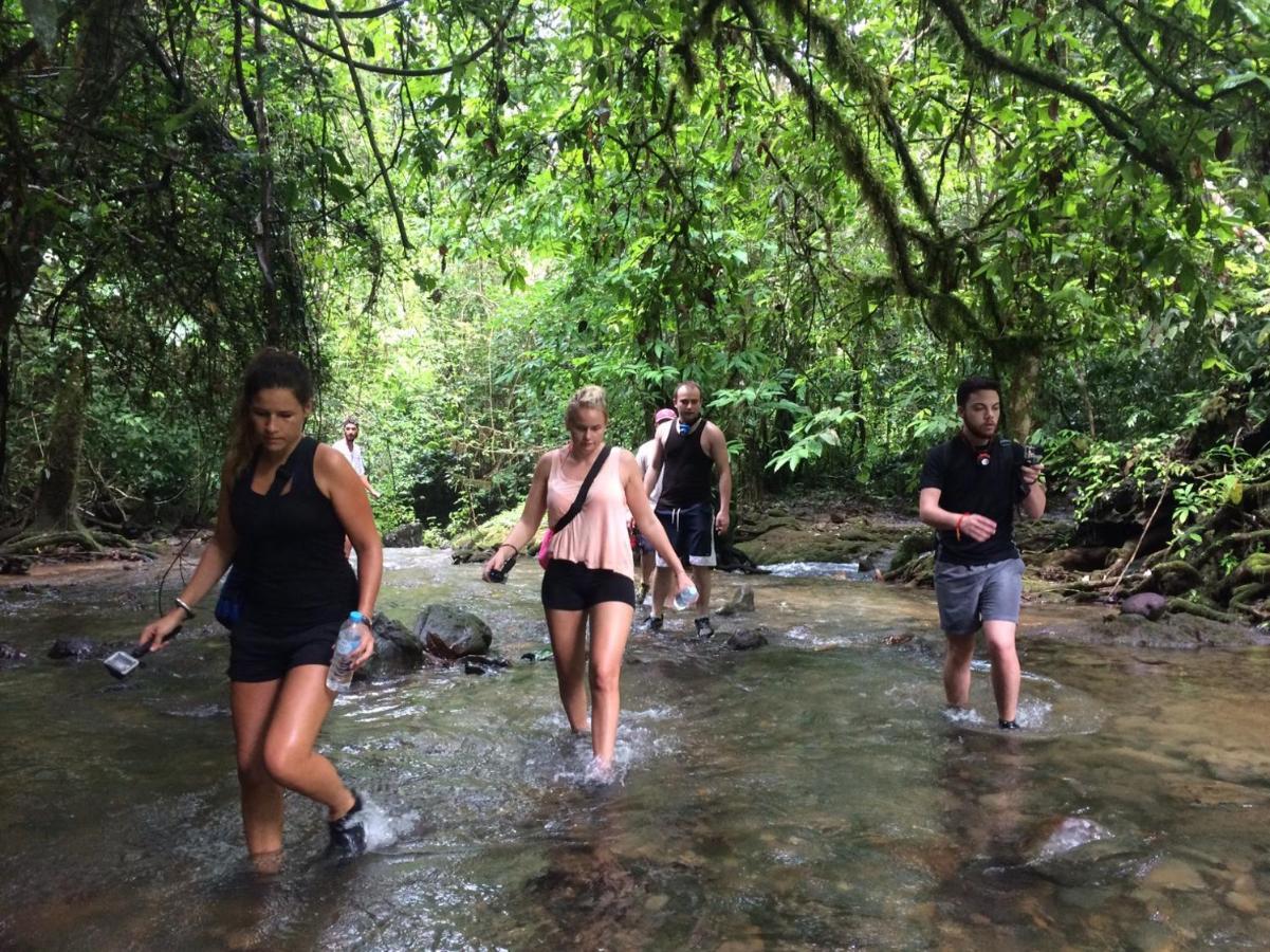拷索埃弗格林假日公园 Khao Sok National Park 外观 照片