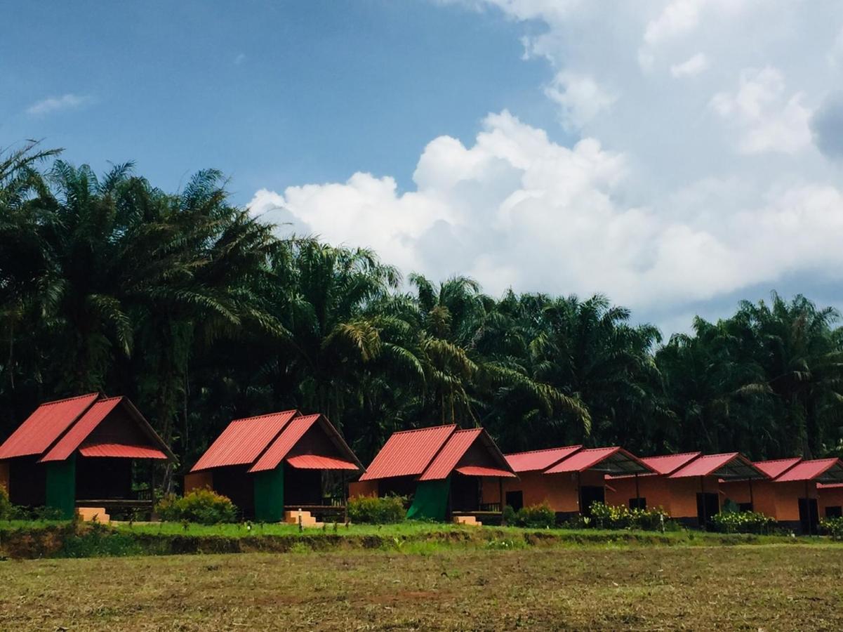 拷索埃弗格林假日公园 Khao Sok National Park 外观 照片