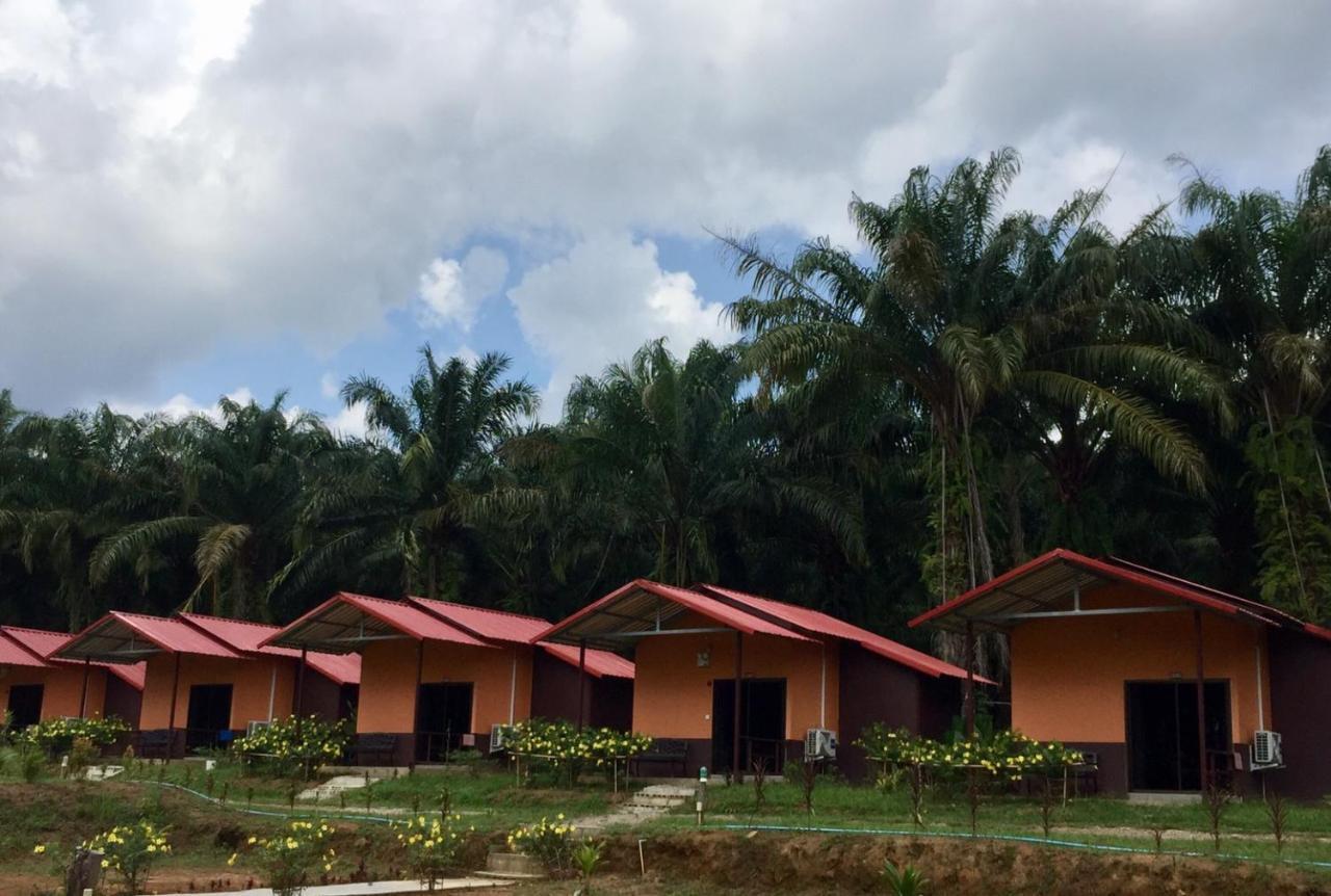 拷索埃弗格林假日公园 Khao Sok National Park 外观 照片